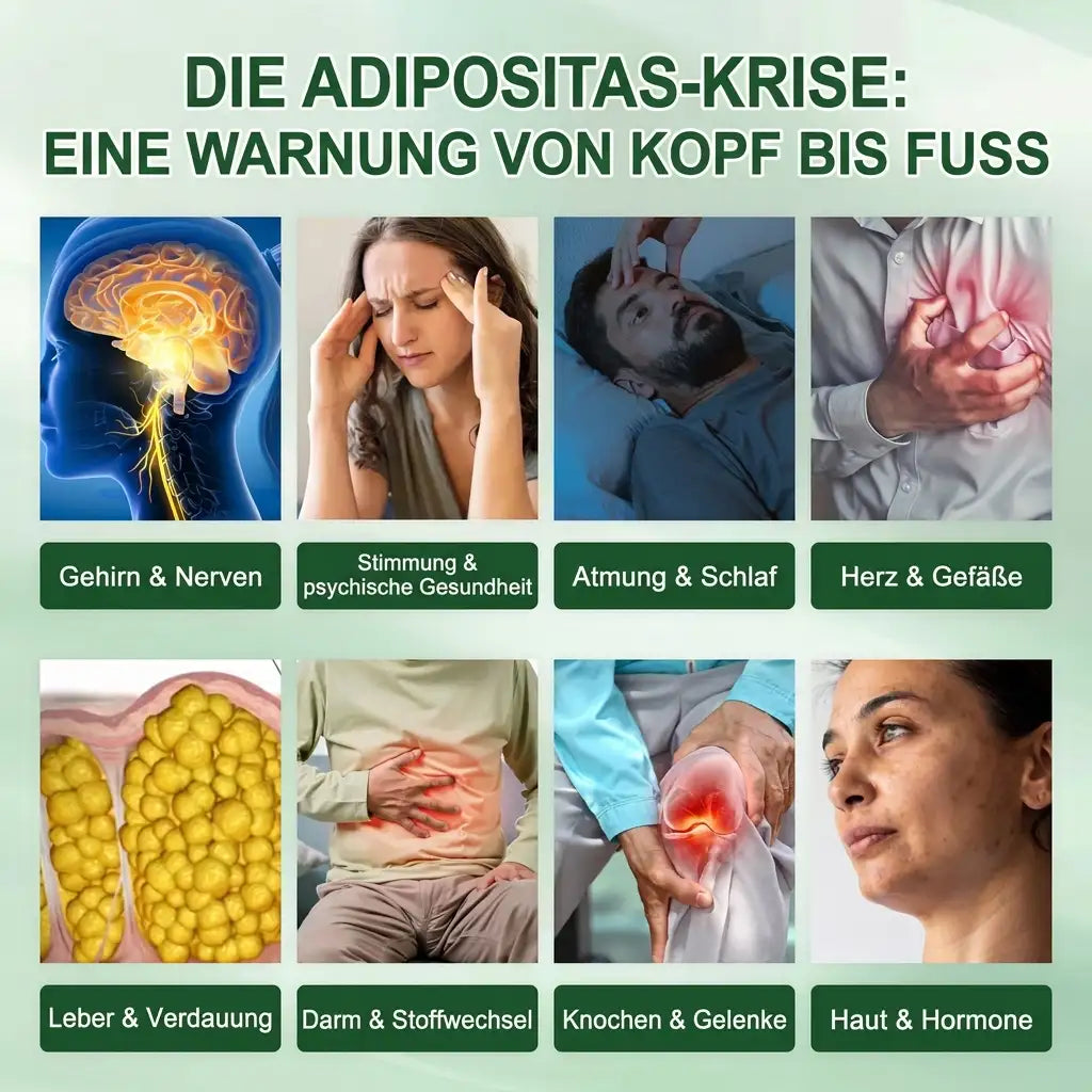 Offizieller Store | ☀️☀️𝐂𝐥𝐞𝐚𝐫𝐞𝐧𝐚® Moringa Berberin + NAD+ 10-in-1 Nano-Mikronadel-Patch (Nur einmal täglich, sichtbare Veränderungen in 7 Tagen)