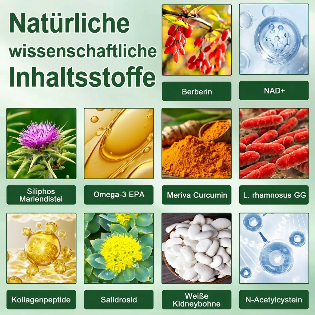 Offizieller Store | ☀️☀️𝐂𝐥𝐞𝐚𝐫𝐞𝐧𝐚® Moringa Berberin + NAD+ 10-in-1 Nano-Mikronadel-Patch (Nur einmal täglich, sichtbare Veränderungen in 7 Tagen)
